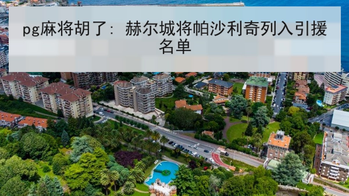 pg麻将胡了: 赫尔城将帕沙利奇列入引援名单