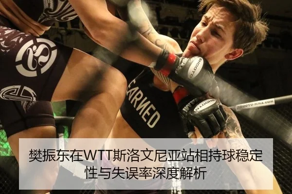 樊振东在WTT斯洛文尼亚站相持球稳定性与失误率深度解析