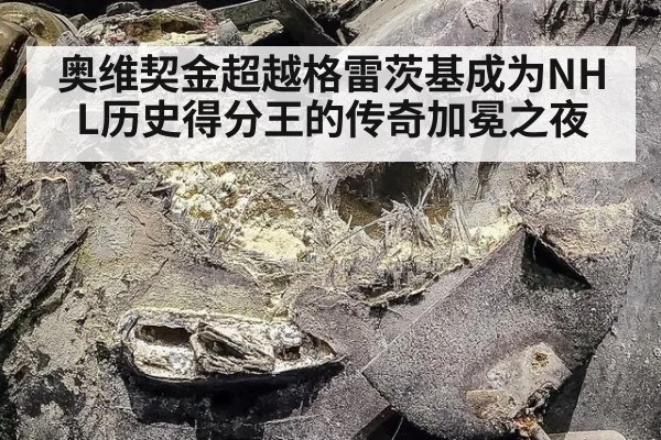 奥维契金超越格雷茨基成为NHL历史得分王的传奇加冕之夜