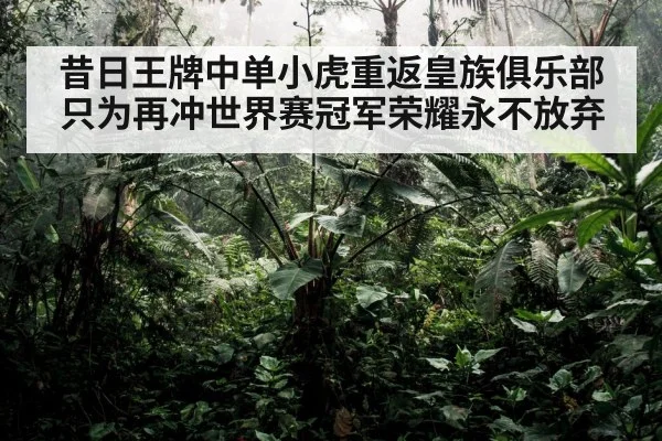 昔日王牌中单小虎重返皇族俱乐部只为再冲世界赛冠军荣耀永不放弃